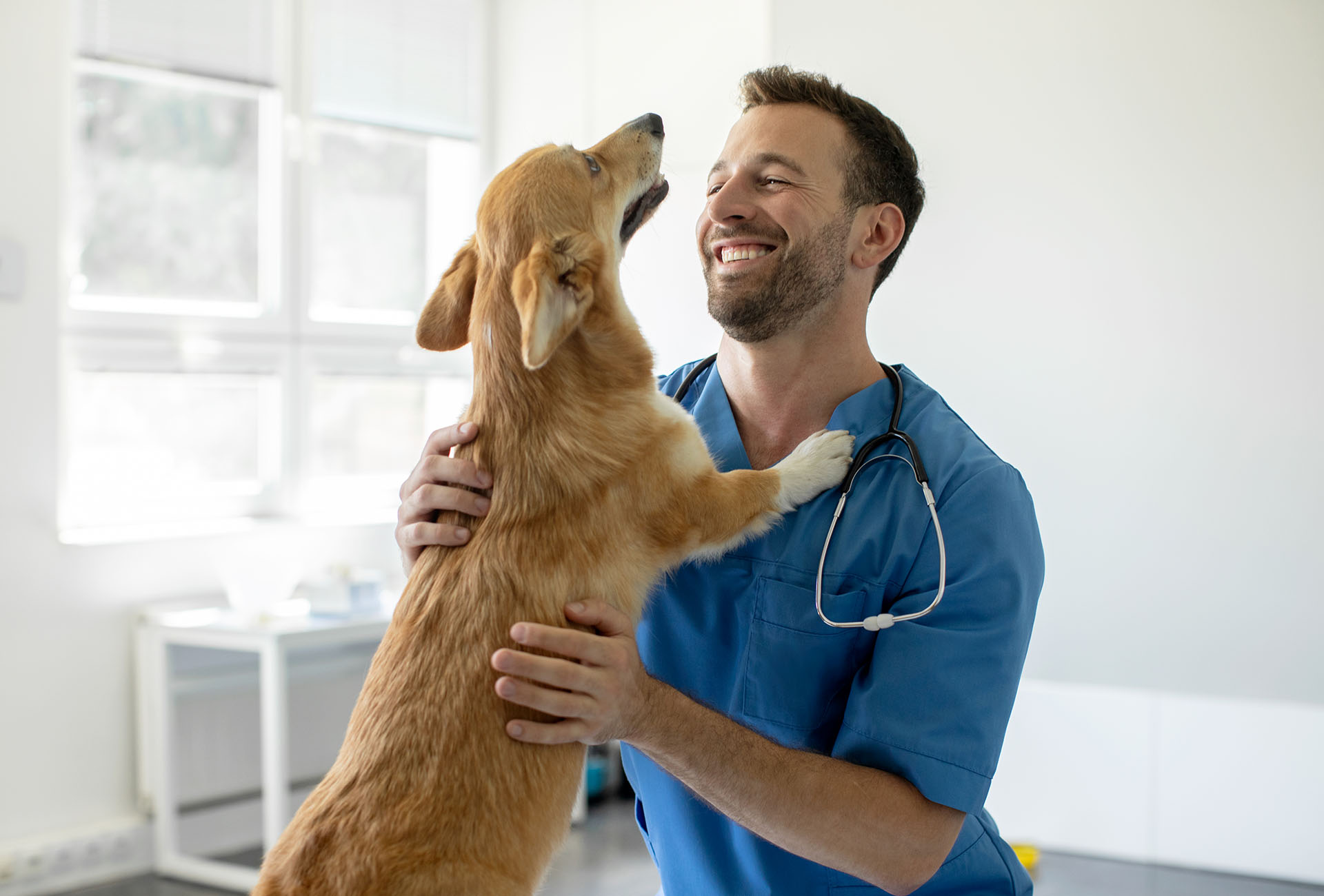 A smiling veterinarian and a dog