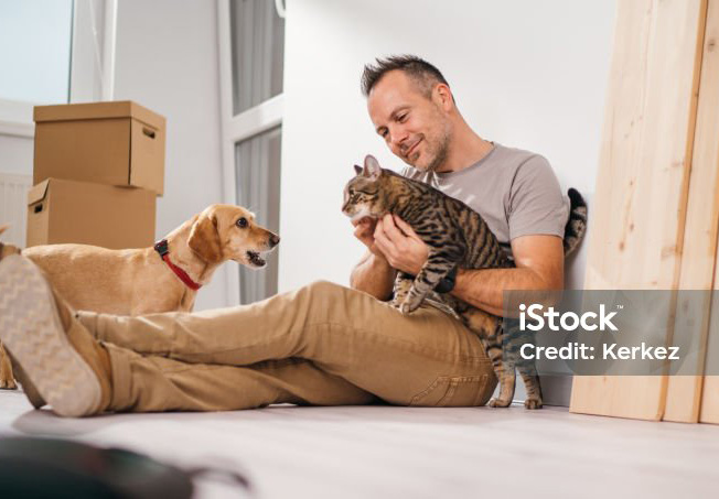 Junger Tierarzt zieht um, mit dabei sind Hund und Katze